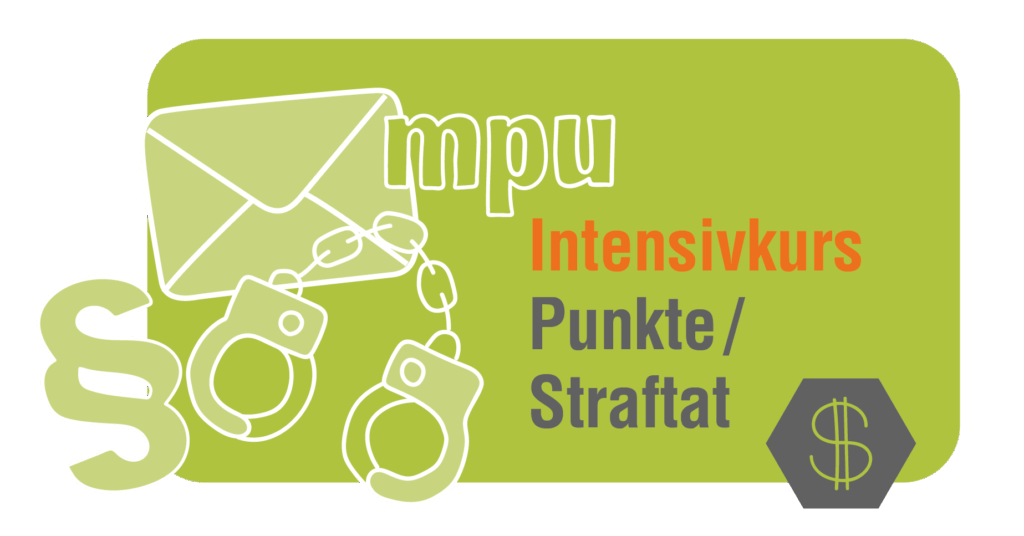 mpu-intensivkurs-punkte-straftat